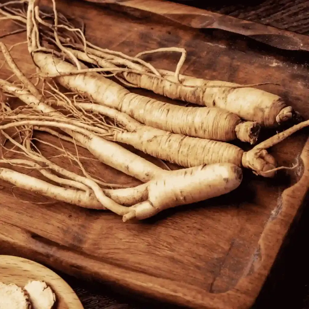 chinese ginseng